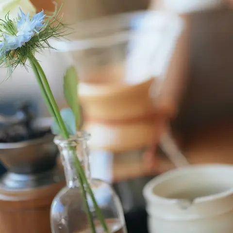 Instagramイメージ