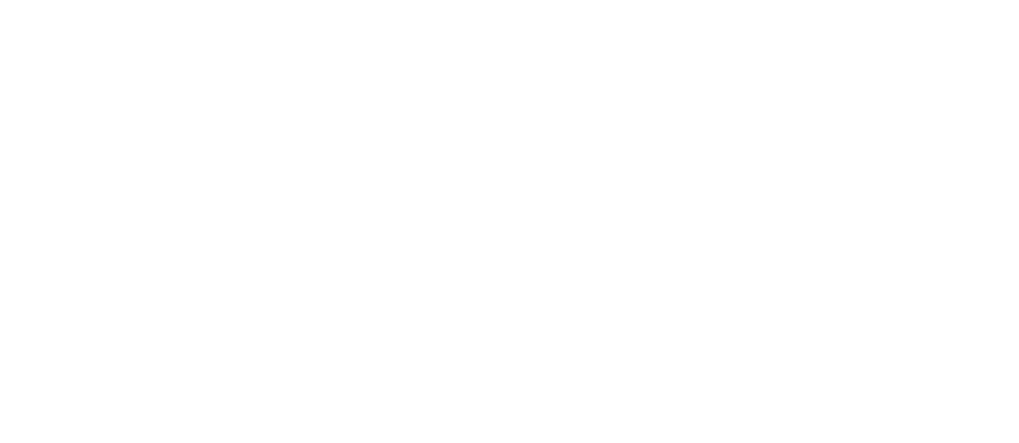 美容保湿成分を配合 バランスにすぐれた 高浸透化粧水